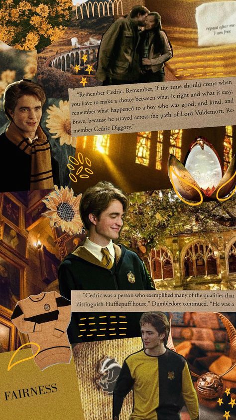 Hogwarts Cedric Diggory, Harry Potter And Cedric Diggory, Harry Potter Hufflepuff Wallpaper, Harry Potter Cedric Diggory, Cedric Harry Potter, Harry Potter Wallpapers, Cedric Diggory Wallpaper, Harry Potter Aesthetic Hufflepuff, Harry Potter Wallpaper Hufflepuff Wallpapers