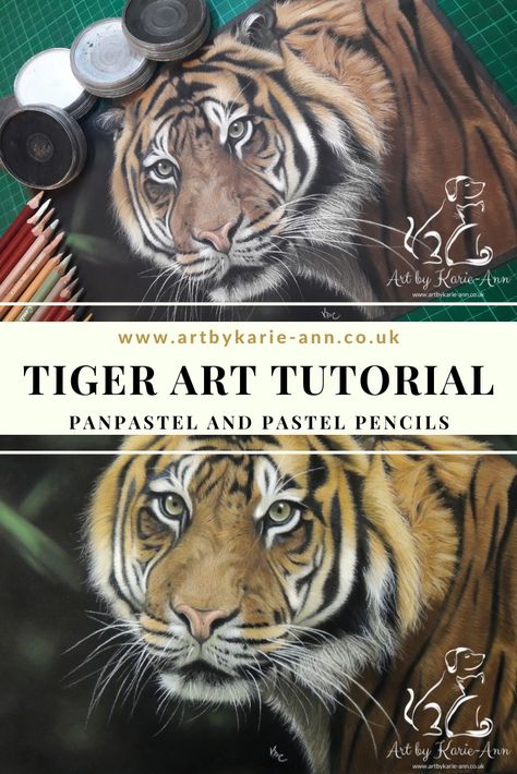 Watch my easy to follow video art tutorial to create this beautiful tiger yourself! Using panpastels and pastel pencils, my art tutorial will show you every mark on the paper. My videos are recorded in real time with no editing out the mistakes, you see everything! Pastel Pencil Art Tutorials, Pastel Art Tutorial, Art Tutorial Videos, Pastel Video, Tiger Video, Pencils Art, Beautiful Tiger, Record Art, Art Videos Tutorials