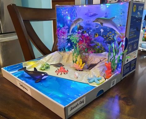 Marine Biome Shoebox Project, Dolphin Diorama Projects For Kids, Shark Habitat Diorama, Dolphin Habitat Project For Kids, Aquatic Ecosystem Project, Orca Habitat Project, Ocean Biome Shoebox Project, Orca Diorama, Ocean Ecosystem Project