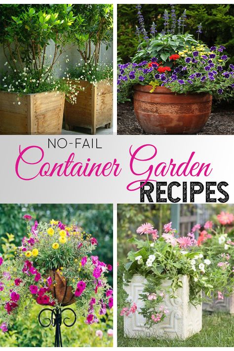 Container Gardening Recipes Planter Recipes Flower Pots, Flower Container Combinations, Container Garden Combinations, Flower Container Recipes, Container Garden Plans, Container Recipes Flower, Pink Container Flowers, Container Gardening Flowers Combinations, Flower Combinations For Planters