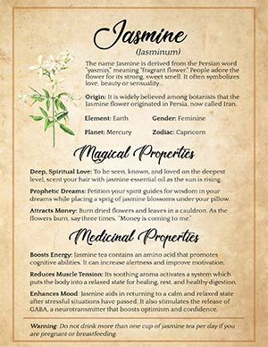 Wicca For Beginners, Magickal Herbs, Tarot Significado, Witch Herbs, Magic Herbs, Grimoire Book, Magical Herbs, Wiccan Spell Book, Witchcraft Spell Books