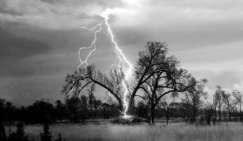 In 1899 a bolt of lightning killed a man as he stood in his backyard in Taranto, Italy. Thirty years later his son was killed in the same way and in the same place. On October 8, 1949, Rolla Primarda, the grandson of the first victim and the son of the second, became the third. I Love Thunderstorms, Thunder Strike, Lightning Tattoo, Struck By Lightning, Smell Of Rain, There Are No Words, Tree Tattoo Designs, Thunder And Lightning, Lightning Storm