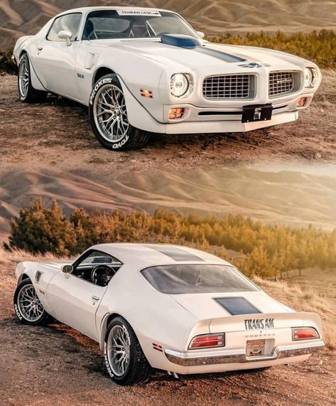 Photo Classic, Cartoon Cars, Pontiac Lemans, Low Riders, Pontiac Firebird Trans Am, Pontiac Cars, Firebird Trans Am, Cars Muscle, Classic Vehicles