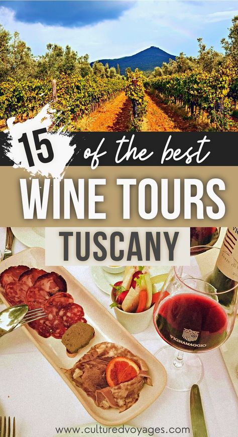 best wine tours in tuscany pinterest pin cover, A vineyard with a view of the volcano at the back and a table with red wine glasses and charcuterie plate Italy Wine Tour, Tuscany Wine Tasting, Wine Tasting In Tuscany, Tuscany Wine Tour, Tuscany Trip, Tuscany Food, Tuscany Vineyard, Chianti Italy, Italy October