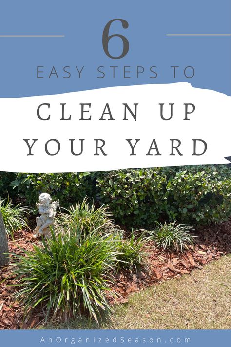 Clean Yard Ideas, Yard Clean Up Before And After, Yard Clean Up Tips, Pruning Bushes, Spring Cleaning Yard, Yard Cleaning, Yard Cleanup, Spring Clean Up, Outdoor Organization