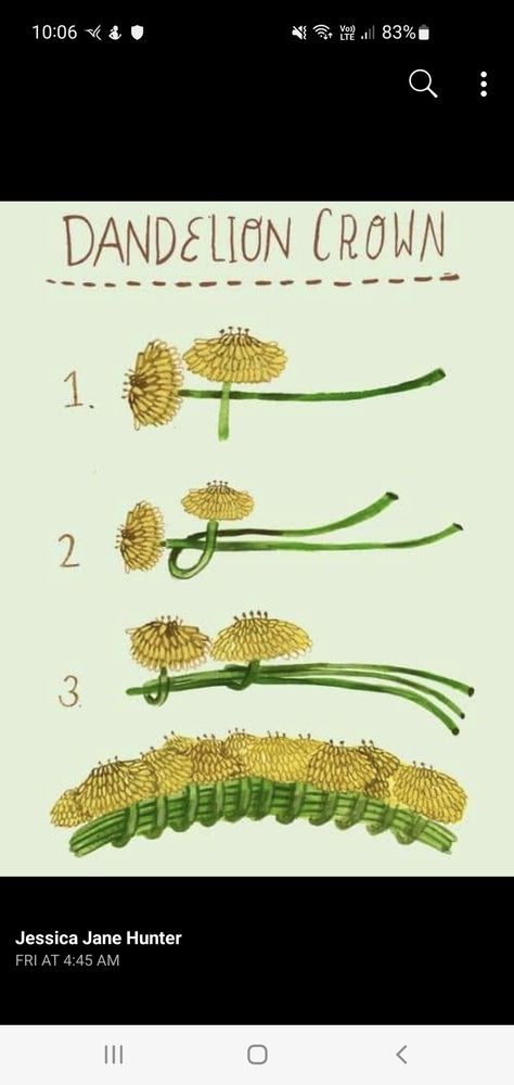 Dandelion Crown, Flower Crown Tutorial, Crown Images, Dandelion Flower, Nature Crafts, Medicinal Herbs, Free Hd Wallpapers, Baby Crafts, Craft Work