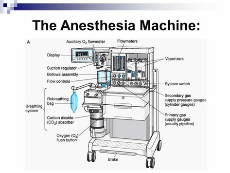 Abg Analysis, Anesthesia School, General Anaesthesia, Nurse Anesthetist, Medical Student Motivation, Med School Motivation, Nursing School Survival, Medical School Inspiration, School Survival