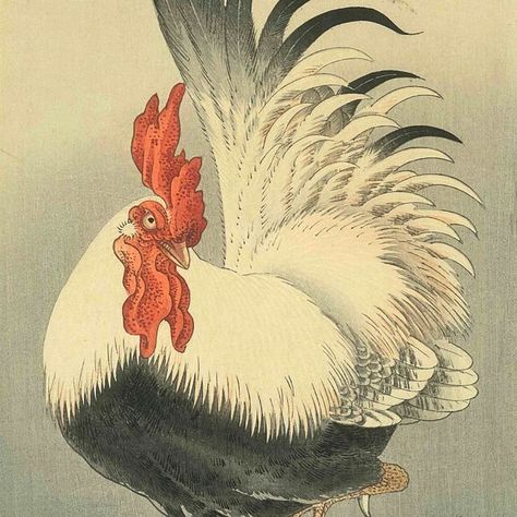 Goddess Of The Sun, The Rooster, Art And Culture, The Goddess, In The Morning, Japanese Art, The Morning, Culture Art, Rooster