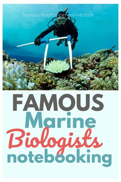 Famous Marine Biologists Homeschool Notebooking Pages - Homeschool Helper Online Homeschool Notebooking, Famous Marines, Notebooking Pages, Surf Stickers, Ocean Unit, High School Science, Marine Biologist, Nasa Astronauts, Marine Conservation