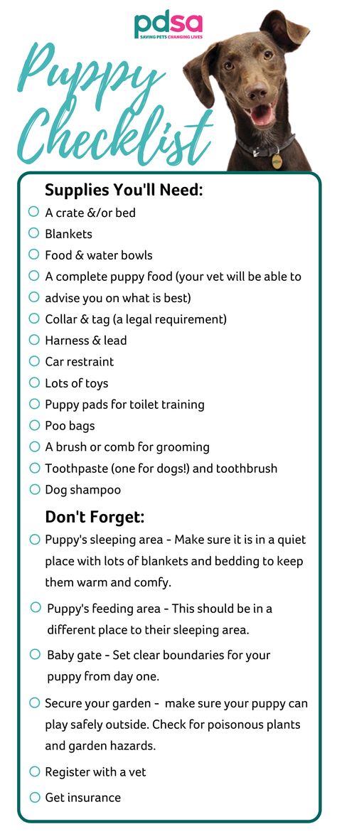 Taking Care Of Puppy, Puppies Week By Week, How To Prepare For A Dog, Dog Checklist New, What You Need For A Puppy, What You Need For A New Puppy, What To Get For A New Puppy, Getting A Puppy Checklist, Getting A Dog Checklist