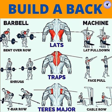 Gym Back Workout, Back Workout Routine, Miracle Workers, Workout Gym Routine, Gym Workout Guide, Best Gym Workout, Gym Workout Planner, Back Workouts, Bodybuilding Workout Plan