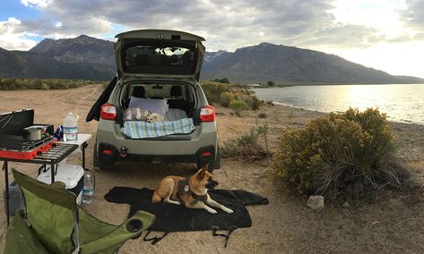 Crosstrek Camping, Subaru Outback Offroad, Luxury Toyota, Porsche Supercar, Camper Van Life, Car Bmw, Van Life Diy, Subaru Cars, Subaru Crosstrek