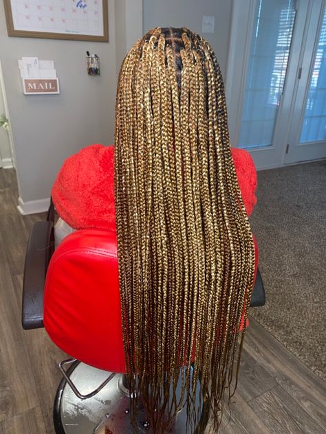 Box Braids 27 Color, Mixed Brown And Blonde Knotless Braids, Colour 27 Box Braids, 27 And 30 Box Braids, Mixed Colour Knotless Braids, Color 30 And 27 Braids, 27 30 Knotless Braids, 30 27 613 Braids, Knotless Box Braids Color 30 And 27