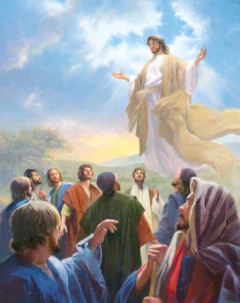 Jesus ascending to heaven Ascension Of Jesus, Jesus Christ Painting, Jesus Return, Christian Images, Bible Pictures, Ayat Alkitab, Jesus Christ Images, Jesus Lives, Biblical Art