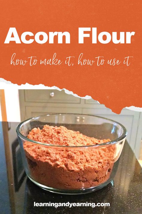 Acorn flour is a truly delicious foraged food, but it does take a bit of processing. Learn how to make and use it! #foraging #forage #acorn #acornflour #natural #homesteading Acorn Flour, Eating Acorns, Seasonal Recipes Fall, Preparedness Ideas, Historic Recipes, Persimmon Recipes, Elderberry Recipes, Food Foraging, Anti Oxidant Foods