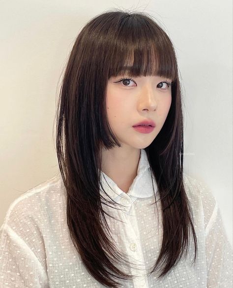 Cool Korean Haircut, Korean Hime Haircut, Hime Haircut On Round Face, Himecut Long Hair, Hime Cut With Wispy Bangs, Haircuts Korean Style, Hush Cut Hair Medium With Bangs, Japanese Bangstyle Hair, Haircut Korean Girl