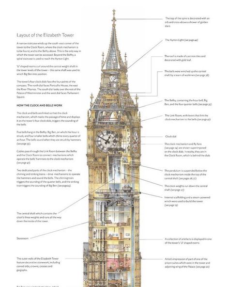 34 Me gusta, 0 comentarios - Cutaway Illustrations (@cutawayillustrations) en Instagram: "Big Ben doesn’t fit 😓 #westminster #parliament #palaceofwestminster #houseofparliament #bigben…" Big Ben Bell, Trips To London, Houses Of Parliament London, Edinburgh Restaurants, Elizabeth Tower, Architecture Site Plan, London Drawing, London Big Ben, Speaker Of The House