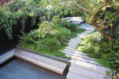 Modern Japanese Garden, Japanese Inspired Garden, Small Japanese Garden, Japanese Style Garden, Shade Tolerant Plants, Tattoo Plant, Japanese Garden Design, Sloped Garden, London Garden