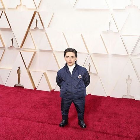 tiny chalamet Short People Reaction Pic, Funny Timothee Chalamet, Timmy Time, Timmy T, Short People, Cute Actors, Timothee Chalamet, Reaction Pictures, Mood Pics