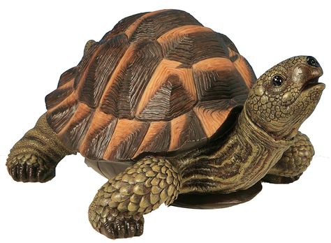 Animal Resin Sculpture Figurine Green Turtle 30,25 x 22,55 x 15,73 200468 >>> For more information, visit image link. #GardenDecor Turtle Drawing Realistic, Cute Turtle Drawings, Sea Turtle Drawing, Animal Pictures For Kids, Sea Turtle Pictures, Clay Turtle, Turtle Images, Animal Caricature, Baby Sea Turtles