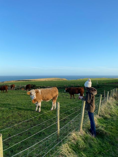 Spring In Scotland, Life In Scotland, Edinburgh Scotland Aesthetic Summer, Scotland Highlands Aesthetic, Highlands Aesthetic, Scotland Summer, Irish Summer, Scotland Aesthetic, Highland Scotland