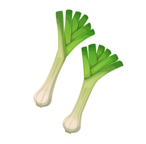 Isolated garden leek onion vegetables with leaves Onion Vegetable, Tutti Frutti, Leeks, Cute Drawings, Vector Art, Collage, Drawings, Pins, Quick Saves