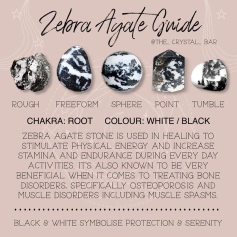 Gemstones Chart, Crystal Kingdom, Agate Meaning, Root Color, Indigo Children, Zodiac Stones, Crystals Healing Properties, Preventative Health, Pretty Rocks