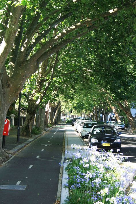 New Urbanism Architecture, Street Trees Urban, Street Parking, Street With Trees, Urban City Street, Street Landscape, City Street, Urban Ideas, City Tree