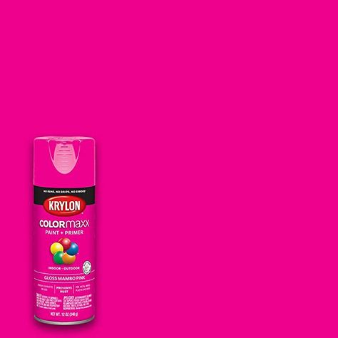 Krylon K05528007 COLORmaxx Spray Paint, Aerosol, Mambo Pink - - Amazon.com Portland Apartment, Barbie Pool, Pink Spray Paint, Pink Paint Colors, Spray Paint Colors, Fabric Glass, Op Shop, Mineral Spirits, Paint Primer