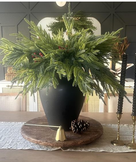 Christmas Norfolk Pine arrangement !🎄 I loved this vase and I filled it using 2 different sizes Norfolk pine stems. Threw in a few red berry stems to add some color! To shop this go to link in bio and go to my website and then my Amazon storefront! https://www.amazon.com/shop/home_is_my_happyplace Christmas arrangement | norfolk pine stems| black vase |riser |candle snuffer |candles and candlesticks Vase Christmas Centerpiece, Norfolk Pine, Candle Snuffer, Black Vase, Christmas Arrangements, Amazon Storefront, Norfolk, Store Fronts, My Website