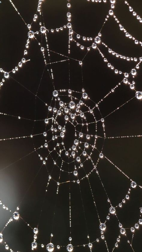 Uicideboy Wallpaper, Amoled Wallpapers, Ex Machina, Water Droplets, Water Drops, Spider Web, Pretty Wallpapers, A Black, Wallpaper Backgrounds