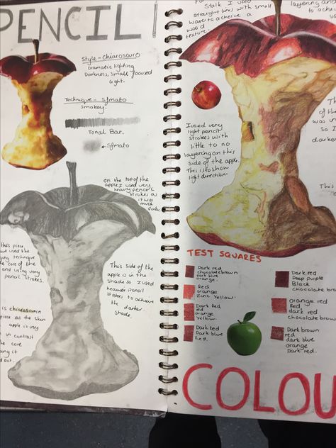 Gcse Experimentation Sketchbook Ideas, Sketch Layout Design, Sketch Book Studies, Still Life Gcse Sketchbook, Gcse Art Observational Drawings Sketchbook Pages, Gcse Art Sketchbook Development, Gcse Art Inspiration Page, Artist Pages Gcse Art, Decay Art Sketchbook