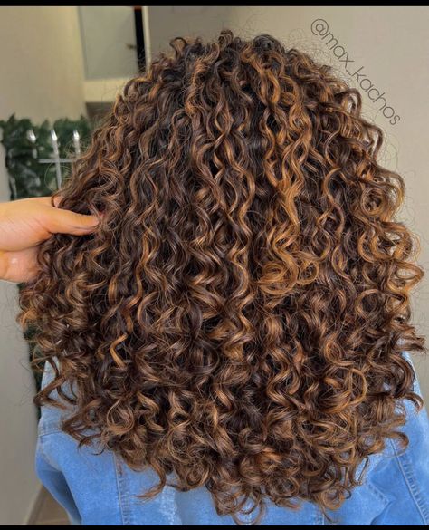 Curly Hair With Partial Highlights, Curly Brown Hair With Light Brown Highlights, Curly Golden Highlights, Brown With Caramel Highlights Curly Hair, Red Pintura Highlights Curly, Caramel Highlights On Curly Brown Hair, Brown Highlights In Curly Hair, Dark Brown Hair With Highlights Curly Natural, Cooper Highlights Curly Hair