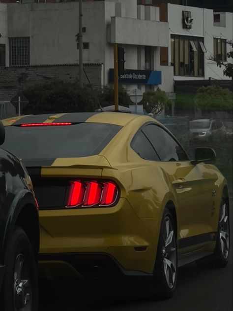 Yellow mustang 💛 Yellow Mustang Gt, Mustang Aesthetic, Yellow Mustang, 2014 Mustang, Mustang Wallpaper, Mustang Fastback, Mustang Gt, Motor Car, Mustang