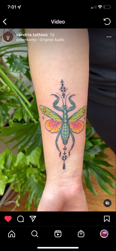 Traditional Mantis Tattoo, Colorful Insect Tattoo, Bug Tattoo Color, Stick Bug Tattoo, Praying Mantis Tattoo Traditional, Orchid Mantis Tattoo, Traditional Bug Tattoo, Praying Mantis Tattoo, Colorful Mandala Tattoo