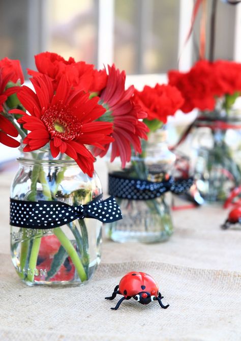 Flowers, if I ever get married again! Gerbera Daisies are my fav! Lifewise Academy, Ladybug Baby Shower Decorations, Ladybug Baby Shower Theme, Lila Party, Reunion Decorations, Ladybug Baby Shower, Ladybug Decorations, Ladybug Birthday Party, Women's Retreat