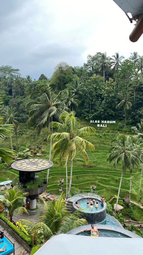 Bali Trip Aesthetic, Bali Story Instagram, Bali Instagram Stories, Bali Aesthetic Villa, Bali Instagram, Bali Baby, Bali Guide, Big Garden, Bali Travel