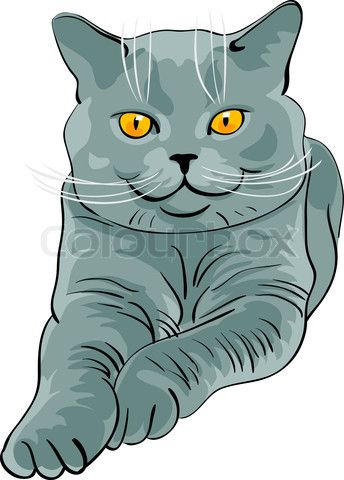 Stock vector of a British Blue Cat British Blue Cat, Shorthair Cat, Cat Spray, Russian Blue Cat, British Shorthair Cats, Cat Vector, Blue Cat, Free Cats, Cats Illustration