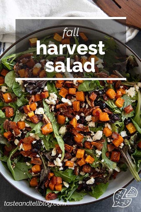 Filled with the flavors of fall, this Fall Harvest Salad is the perfect side dish for holidays or as a part of any dinner. Made with butternut squash, bacon, pecans, and dried cranberries, this is a salad you will want to make over and over again. Seasonal Salads Fall, Harvest Fall Salad, Harvest Salad Recipes, Butternut Squash Bacon, Salad With Butternut Squash, Fall Salad Recipes, Fall Harvest Salad, Fall Salads, Autumn Salad Recipes