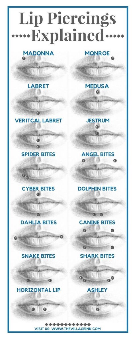 Piercing No Rosto, Dahlia Piercing, Spiderbite Piercings, Microdermal Piercing, Piercing Face, Piercing Girl, Piercing Bouche, Spider Bite Piercing, Piercing Chart