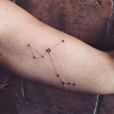 Sirius Constellation, Tattoos Bear, Star Constellation Tattoo, Canis Major, Aries Constellation Tattoo, Sirius Star, Hp Tattoo, Constellation Tattoo, Harry Potter Tattoos