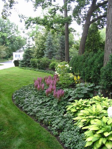 [low maintenance plants - The background is Spruce and Arborvitae. The middle layer is Viburnum, Hydrangea and Ligularia. The foreground is Astilbe, Hosta and Pachysandra.]  ... Great ideas for the Shade Garden Chicago Landscape, Creative Landscape, Low Maintenance Landscaping, Garden Shrubs, Landscape Designs, Low Maintenance Garden, Have Inspiration, The Secret Garden, Traditional Landscape