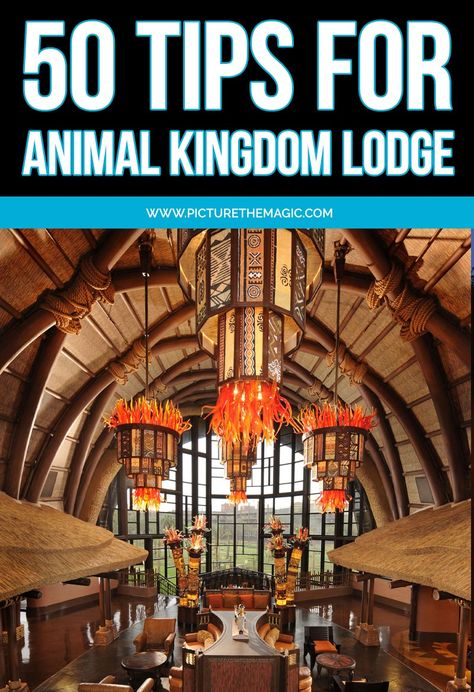 Animal Kingdom Lodge Kidani Village, Disney Animal Kingdom Lodge, Welcome Package, Animal Kingdom Lodge, Disney Resorts, Real Money, Disney Resort, Animals Of The World, Disney Vacations