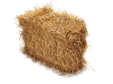 Hay Bale Gardening, Hedge Trimmer Accessories, Straw Bale Gardening, Gazebo Accessories, Outdoor Dinnerware, Straw Bale, Fall And Thanksgiving, Bbq Cover, Straw Bales