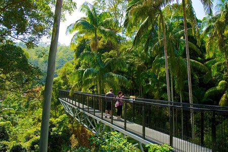 Beautiful Rainforest, Tamborine Mountain, Animal Education, Olympic Peninsula, Queensland Australia, Whale Watching, Foodie Travel, Gold Coast, Queensland