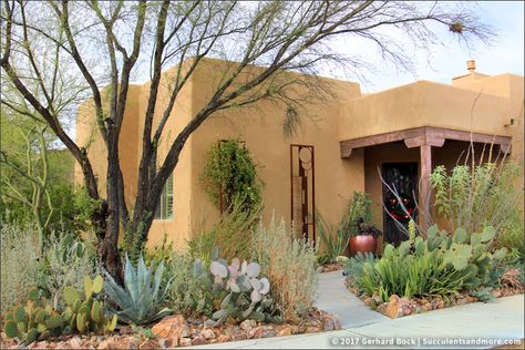 Arizona Gardening, Adobe Home, Southern Arizona, Landscape Maintenance, Front Yard Garden Design, Spanish Style Homes, Desert Garden, Desert Homes, Water Wise