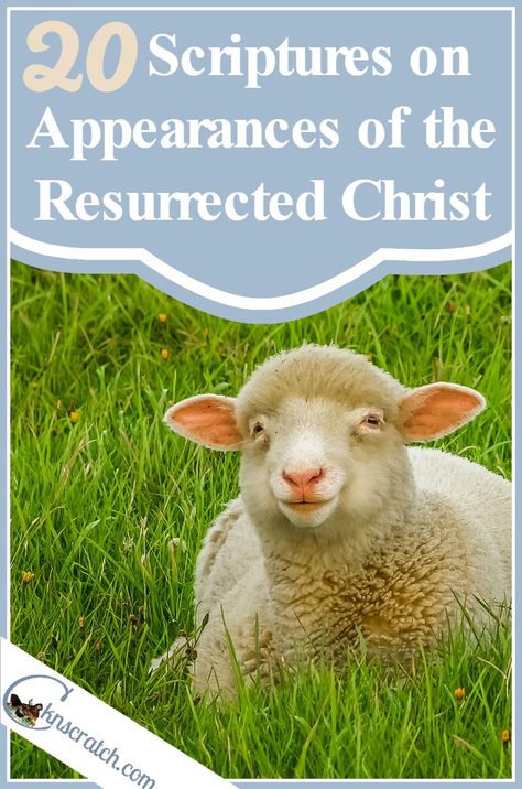 Great scripture study for Easter. Resurrected Christ, Easter Countdown, Easter Scriptures, Scripture Study Lds, Jesus Christ Lds, Lds Seminary, Christ Centered Easter, Lds Conference, Christian Education