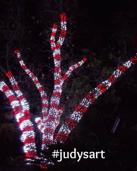 Red and White Candy Cane Outdoor Christmas Lights Display.  Tree Wrapped.  Twinkling Yard. Christmas Lights Outdoor Trees, Outdoor Christmas Light Displays, Christmas Lights Display, Red Christmas Lights, Lights Outside, Display Tree, Christmas Lights Outside, White Christmas Lights, Diy Christmas Lights