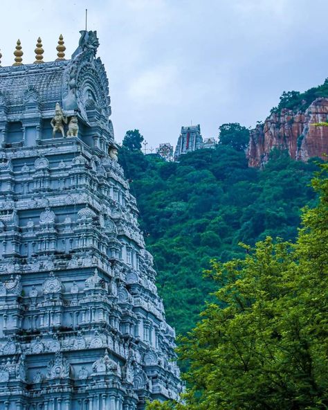 Lod Venkateswara Hd Images, Tirupathi Temple Images, Animated Boy Pics, Balaji Images, Tirumala Hills, Historical Temples, Yoga Place, Cartoon Pic, Indian Temple Architecture