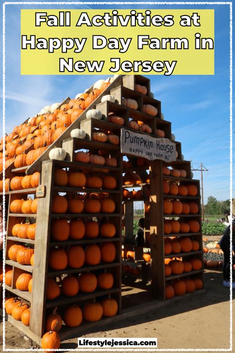 Happy Day Farm, Hay Rides, Family Friendly Games, Pumpkin House, Farm Activities, Zinnia Flowers, Pumpkin Picking, Corn Maze, Fall Activities